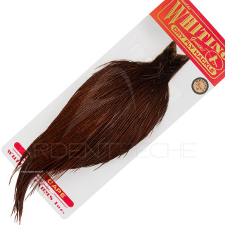 WHITING bronze cock capes coachman brown