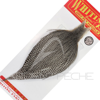 Colli di gallo WHITING bronze grizzly