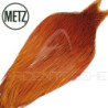 Colli di gallo METZ grade 2