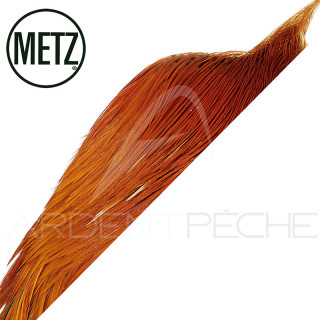 1/2 cock neck METZ grade 3