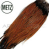 Gropponi di gallo METZ grade 2