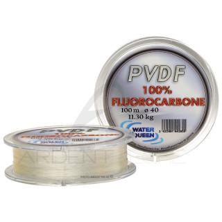 Fili fluorocarbonio PVDF (100m)