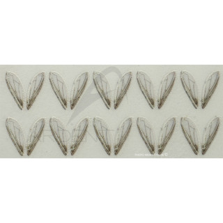 Ali realistiche Bottle fly wings