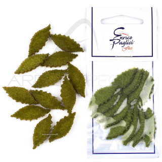 Crab Body EP FLEEING CRAB BODY small