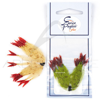 Chela granchio PUGLISI CRUSTACEOUS CLAW
