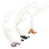Occhi epoxy di granchio
