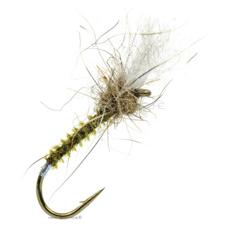 DEVAUX Fly Chironomid JBC7
