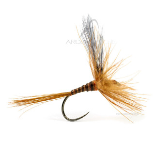 Mosca DEVAUX Secca 834QC