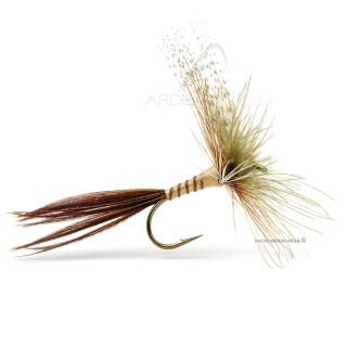 Mosca DEVAUX Secca C606