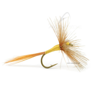 Mosca DEVAUX Secca 966C