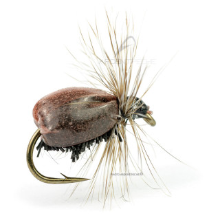 Mosca DEVAUX Terrestre JBT 03