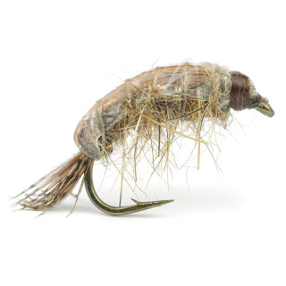 Mosca DEVAUX Gammaro JBG 00