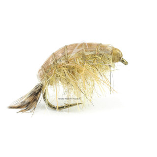 Mosca DEVAUX Gammaro JBG 01