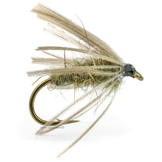 Mosca DEVAUX Emergente ES 02