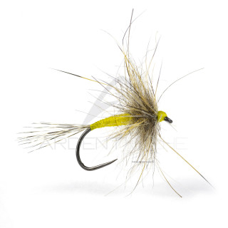 Mosca DEVAUX Emergente HL 07