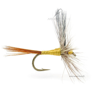 Mosca DEVAUX Secca 837