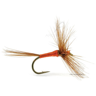 Mosca DEVAUX Secca K16