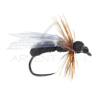 DEVAUX Terrestrial Ant Fly JBF 01