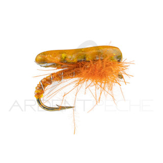 Ninfa Alan Campbell SBN 062 arancione