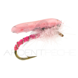 Ninfa Alan Campbell SBN 061 rosa