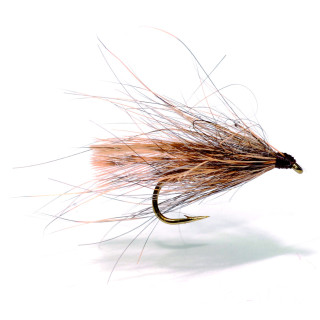 Fly AB FLY Les Morlaisiennes SE BE L