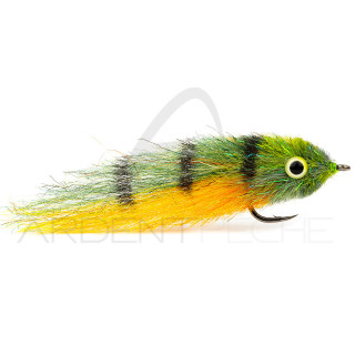 Mosche PUGLISI DORADO BABY PEACOCK