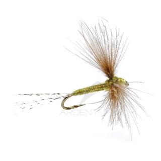 Mosca AB FLY Emergente SUB D OLC