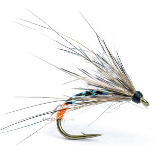Mosca AB FLY Chironome NY CHIRO NO TO