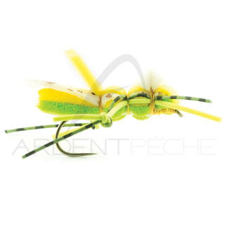 DEVAUX Fly Terrestrial Grasshopper SAUT 02