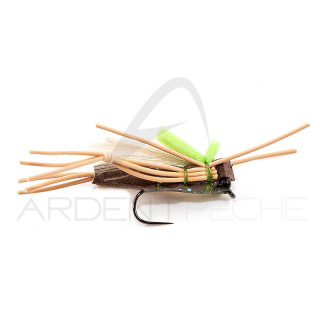 DEVAUX Fly Terrestrial Grasshopper SAUT 03