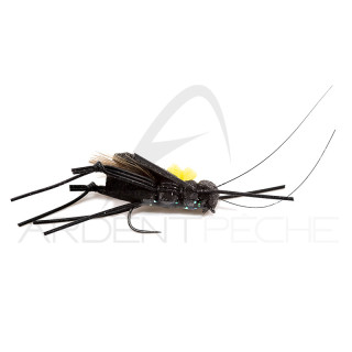 Mosca DEVAUX Terrestre Cricket 02