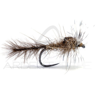 Mosca A.P. emersa lepre