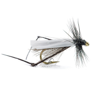 Mosca AB FLY Diptères bibio