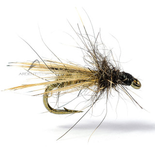 Mosca AB FLY Ditteri MC13