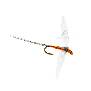 Mosca AB FLY Ephémères spents SBC OR