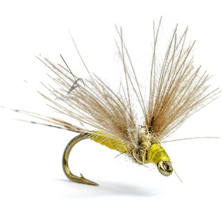 Mosca AB FLY Ephémères subimagos SUB J