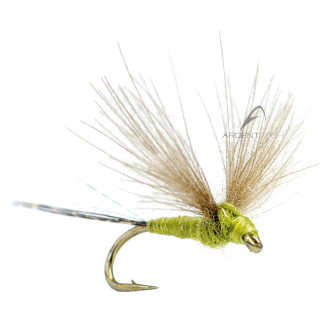 Mosca AB FLY Ephémères subimagos SUB OL