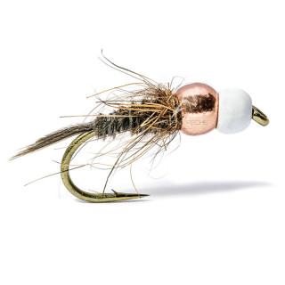 Mouche AB FLY nymphe  DB L1 TG