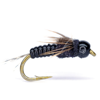 Mosca AB FLY ninfa CN TG V N