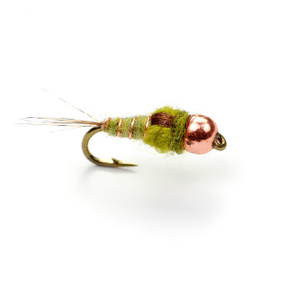 Mosca AB FLY Ninfe a ombre CCUI TG OLC