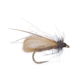 Mosca AB FLY PUPA CDC L BE