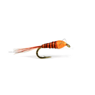Mosca DEVAUX Ninfa JBN 30