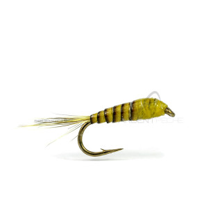 Mosca DEVAUX Ninfa JBN 31