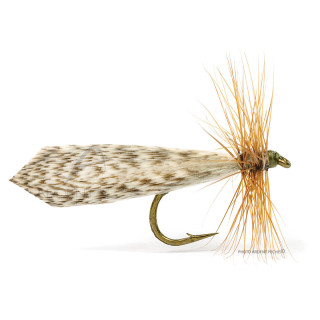 Mosca DEVAUX Sedge 426