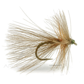 Mosca DEVAUX Sedge 434C