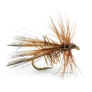 Mosca DEVAUX Sedge prof K