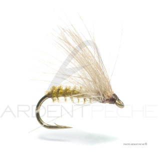 Fly Florian Stéphan C5