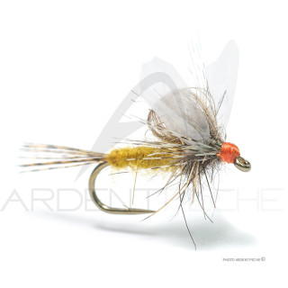 Florian Stéphan Fly EML