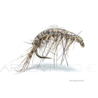 Mosca Florian Stéphan Gammaro N22