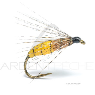 Florian Stéphan Fly Palaretta Bicolore